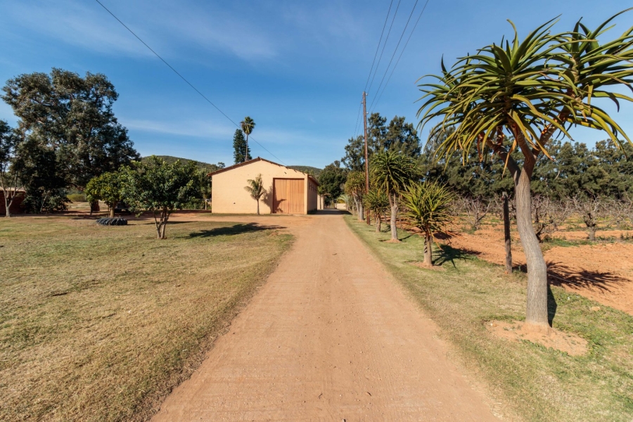 4 Bedroom Property for Sale in Kruisrivier Eastern Cape
